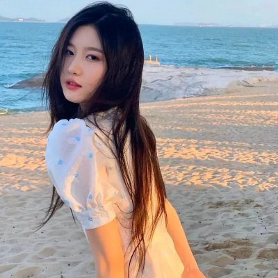 远去的飞鹰